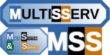 multisserv.com